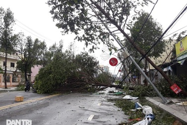 Quảng Ngãi: Nhà dân tan hoang sau bão số 9