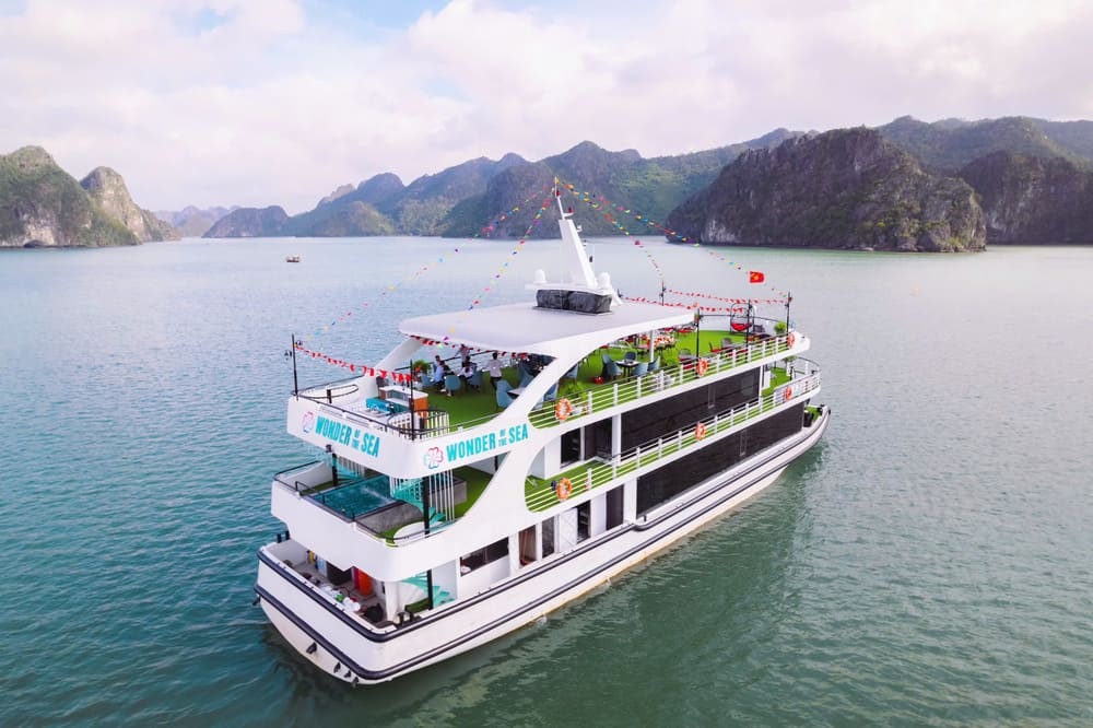 Tạm dừng toàn bộ tour du thuyền Hạ Long để tránh bão - 2