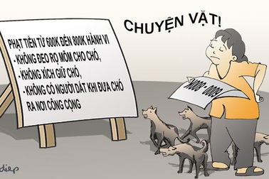 Xin hãy chấm dứt những nỗi khiếp đảm này!