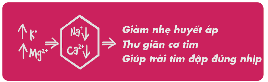 Lợi ích của Kali và Magnesi với bệnh nhân tim mạch - 2 Lợi ích của Kali và Magnesi với bệnh nhân tim mạch - 2