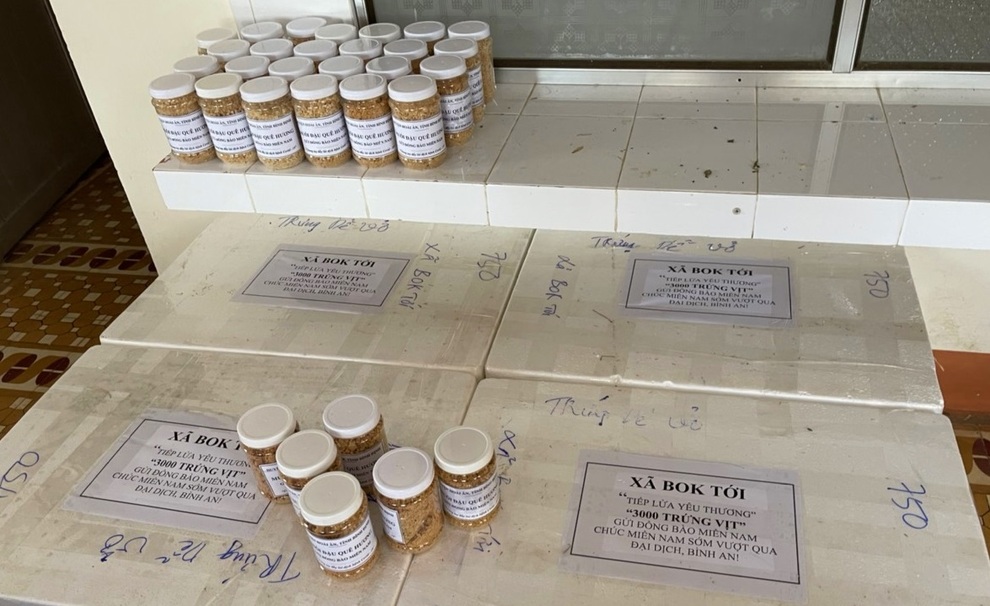 Bà con Bình Định gom từng bó rau, quả trứng… gửi vào TPHCM thân yêu - 7 Bà con Bình Định gom từng bó rau, quả trứng… gửi vào TPHCM thân yêu - 7