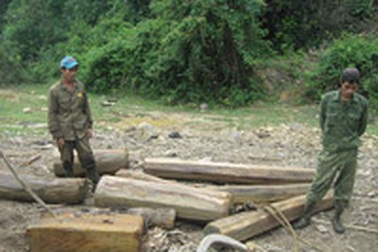Khởi tố gần 40 tên lâm tặc “khủng bố” kiểm lâm