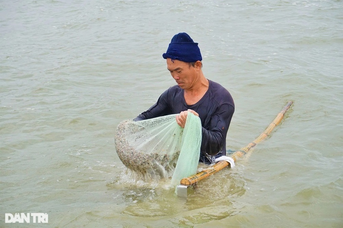 Gần Tết, ngư dân rủ nhau lội ngược sóng, lọc cát thu lộc biển - 6 Gần Tết, ngư dân rủ nhau lội ngược sóng, lọc cát thu lộc biển - 6