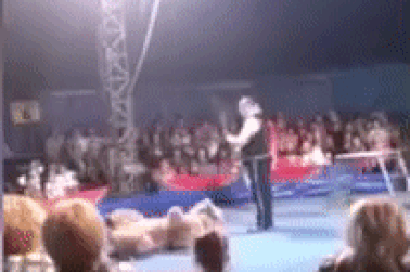 Đang biểu diễn xiếc, gấu bất ngờ lao vào đám đông khán giả