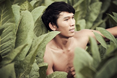 Ngọc Tình diễn vai lực điền như vào vai… chính mình