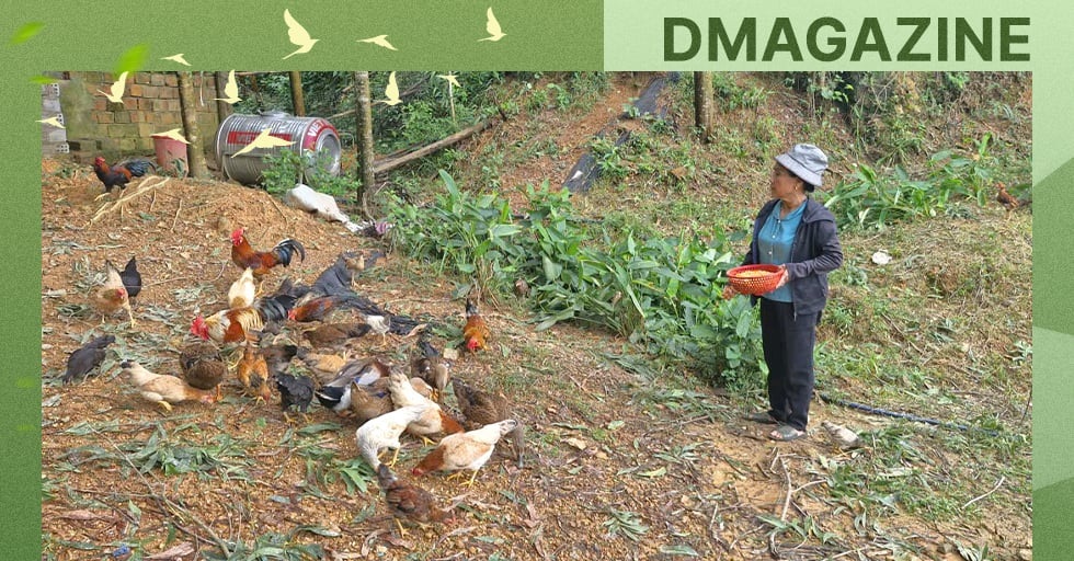 “Thủ lĩnh” thoát nghèo của đồng bào Mã Liềng - 5 “Thủ lĩnh” thoát nghèo của đồng bào Mã Liềng - 5