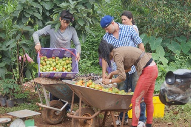 Trang Trần nghỉ bán bún đậu lên cao nguyên làm nông dân