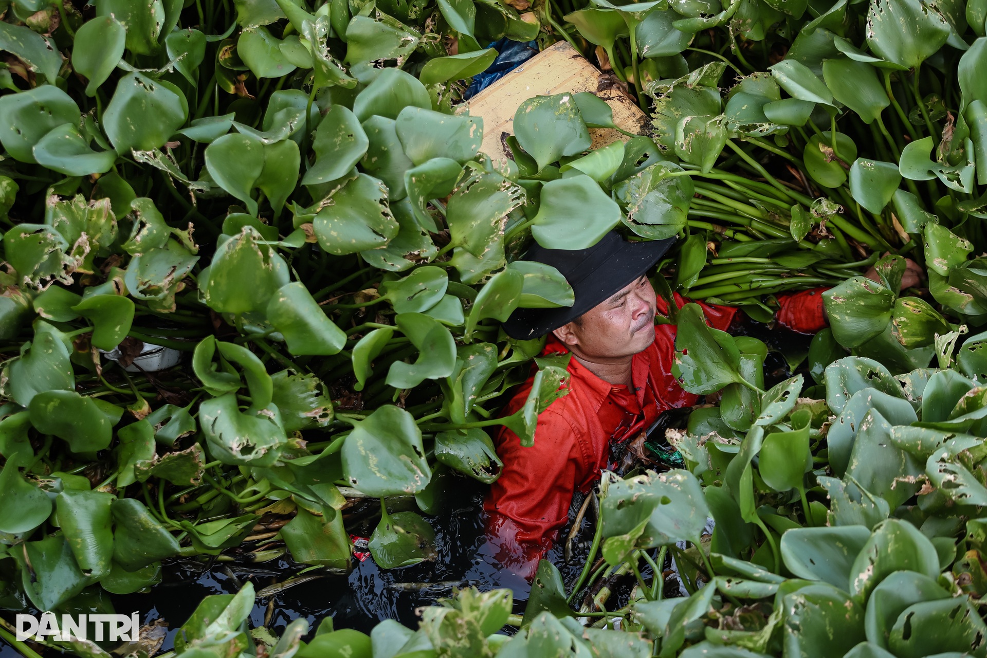 Người dân TPHCM than trời vì rác thải dày đặc ở Kênh Nước Đen - 11 Người dân TPHCM than trời vì rác thải dày đặc ở Kênh Nước Đen - 11