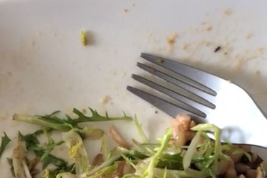 Giòi sống bò lổm ngổm trong suất ăn của khách VIP trên máy bay