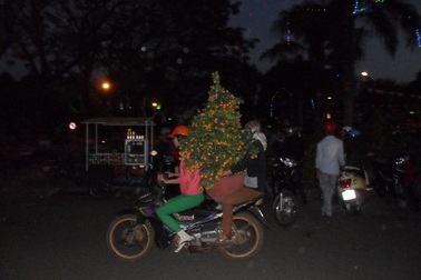 Hối hả mang xuân về nhà trong đêm