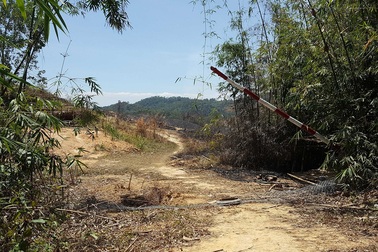 Công an điều tra vụ hàng chục hecta rừng bị phá trắng