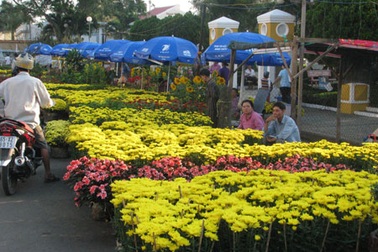 Tràn sắc hoa trên bến Ninh Kiều 