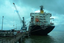 Đề xuất đổ 439.000 m3 bùn thải xuống biển Quy Nhơn