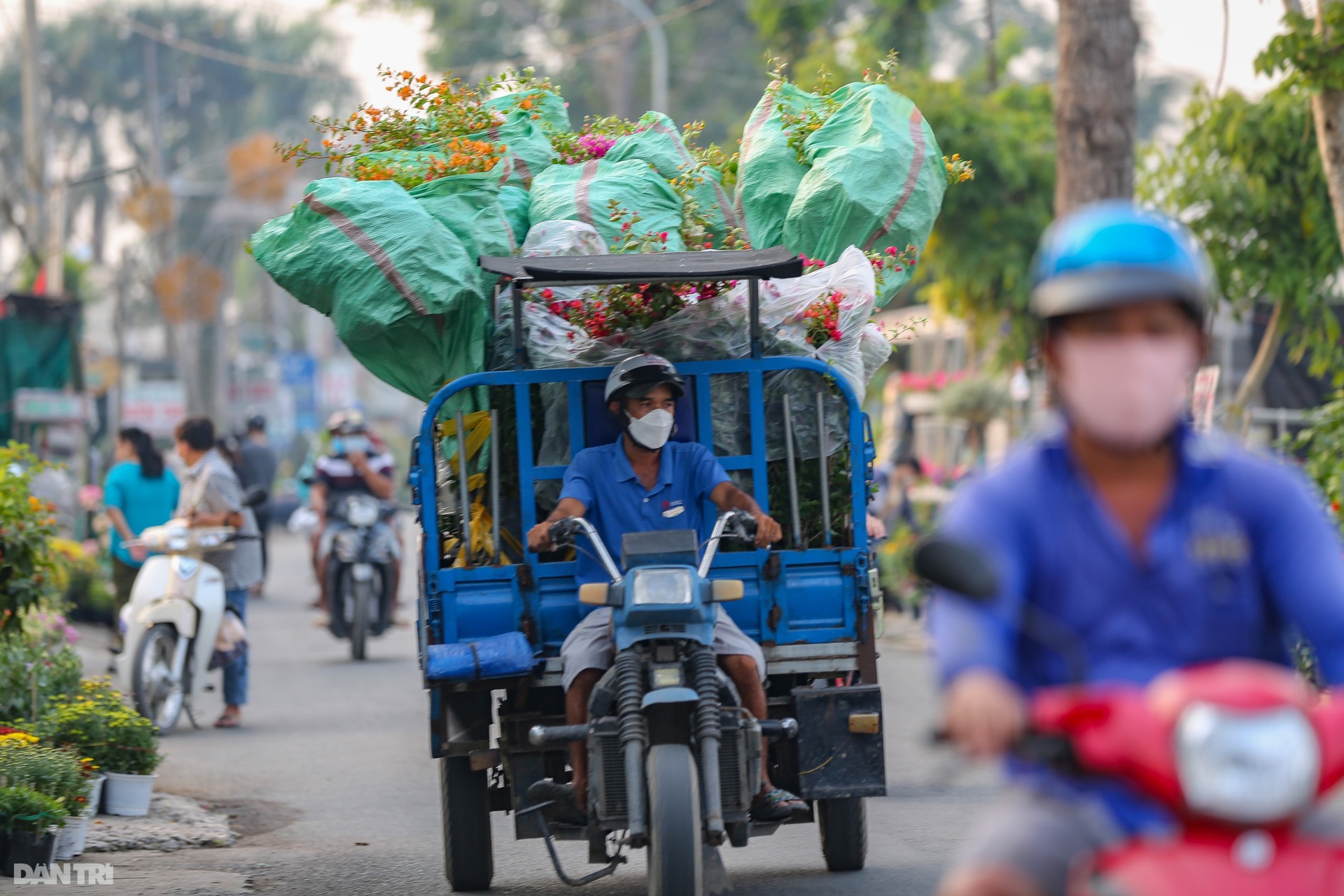 Làng hoa lớn nhất miền Tây vào vụ Tết - 16