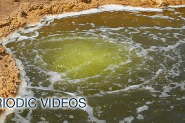 Ở vùng nước mặn nhất thế giới xác chim chết từ lâu nhưng không phân hủy