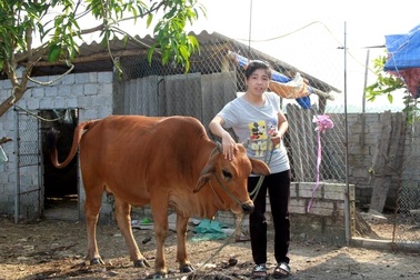Tạo sinh kế cho người dân để giảm nghèo bền vững