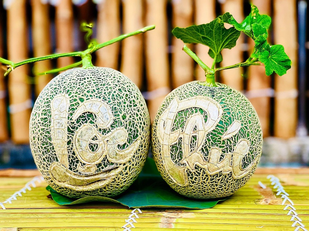 Làm vườn sân thượng giữa mùa dịch, mẹ đảm Sài Gòn có rau trái ăn cả ngày - 10