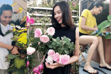 Tình cũ Bằng Kiều và cuộc sống “nông dân chính hiệu” trên đất Mỹ