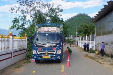 Tài xế ô tô lùi xe không quan sát khiến 2 cháu bé tử vong