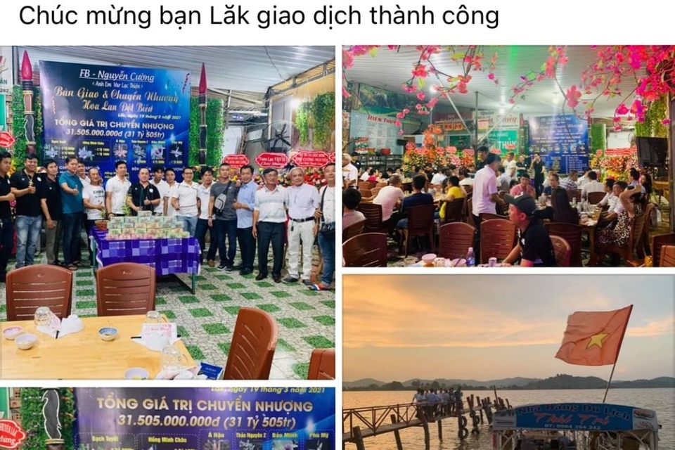 Vụ chuyển nhượng lan 31,5 tỷ đồng chỉ là màn kịch câu like! - 2 Vụ chuyển nhượng lan 31,5 tỷ đồng chỉ là màn kịch câu like! - 2