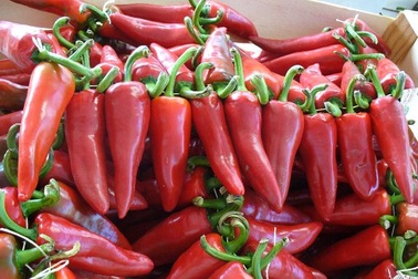 Ớt Espelette - "bí kíp" làm rạng danh ẩm thực nước Pháp 