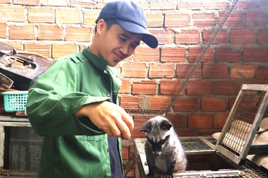 Cử nhân rời phố về quê nuôi con "ngủ ngày, cày đêm" thu trăm triệu đồng/năm