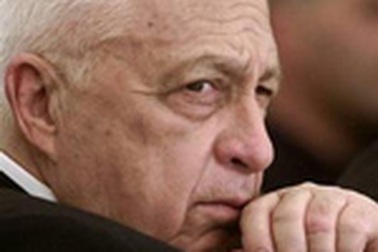 Sharon bước sang tuổi 78, tình trạng vẫn nguy kịch