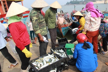 Ngư dân băn khoăn việc xác định ranh giới hải sản an toàn