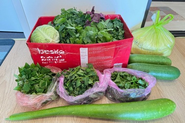 Một tuần hết nửa triệu mua rau, bà nội trợ ở Hà Nội nhờ tiếp tế gấp từ quê