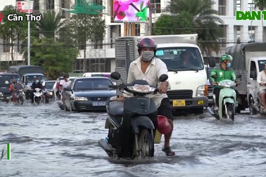 Người Cần Thơ "ngụp lặn" với triều cường, nước lớn