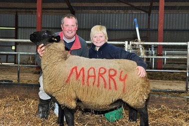 Độc đáo màn cầu hôn bằng cừu