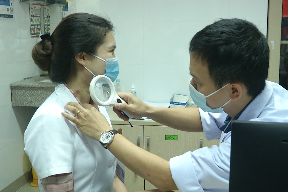 Mùa bùng phát loài kiến “độc tính mạnh hơn rắn hổ mang” ở Hà Nội - 5 Mùa bùng phát loài kiến “độc tính mạnh hơn rắn hổ mang” ở Hà Nội - 5