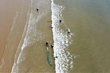 Độc đáo nghề "đi lùi" bắt con nhỏ xíu, hái bạc triệu mỗi ngày