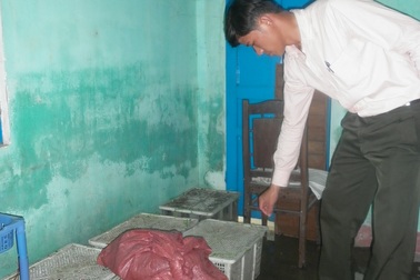 Quảng Nam: Bắt xe ôtô chở động vật hoang dã