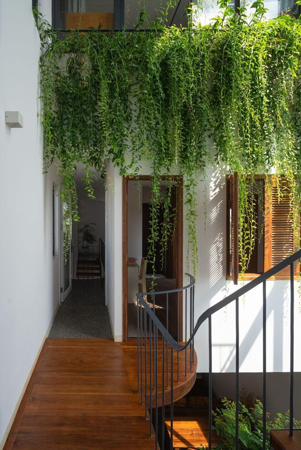 “Khu rừng nhiệt đới” nằm ẩn trong nhà phố khiến ai bước vào cũng trầm trồ - 7