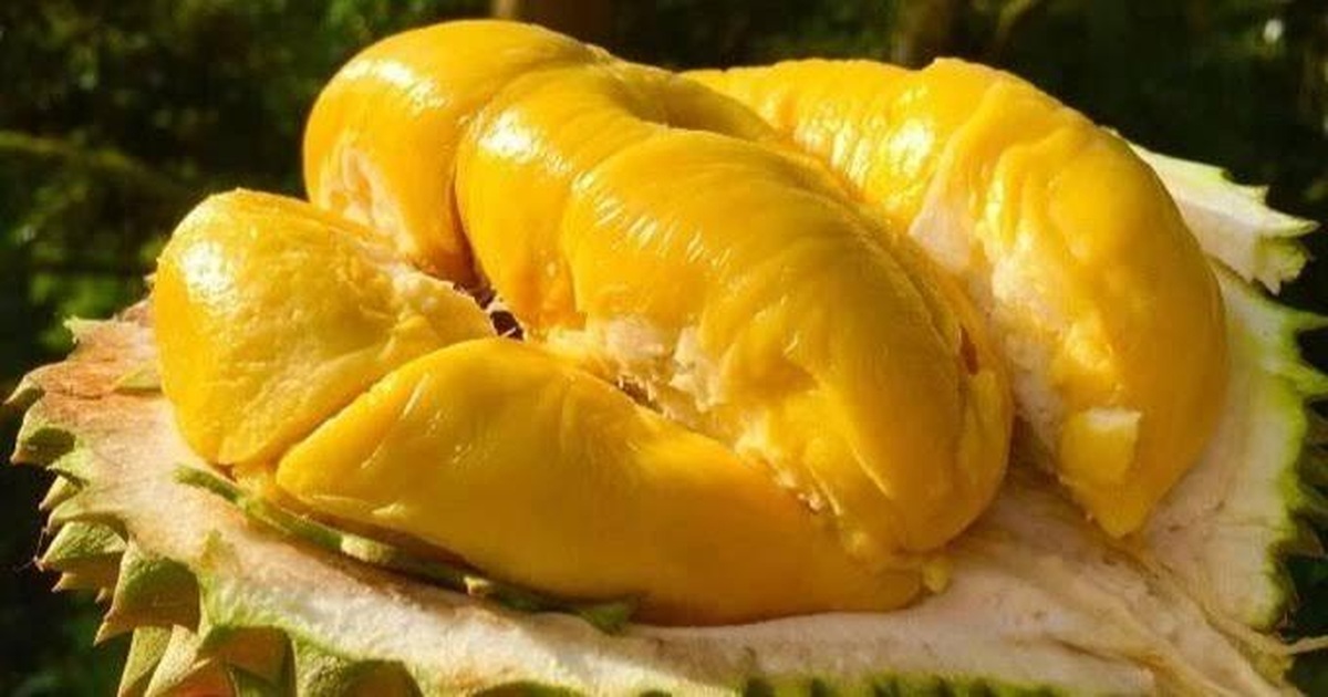 Phó Thủ tướng: Không được để ách tắc trong cấp mã số vùng trồng sầu riêng