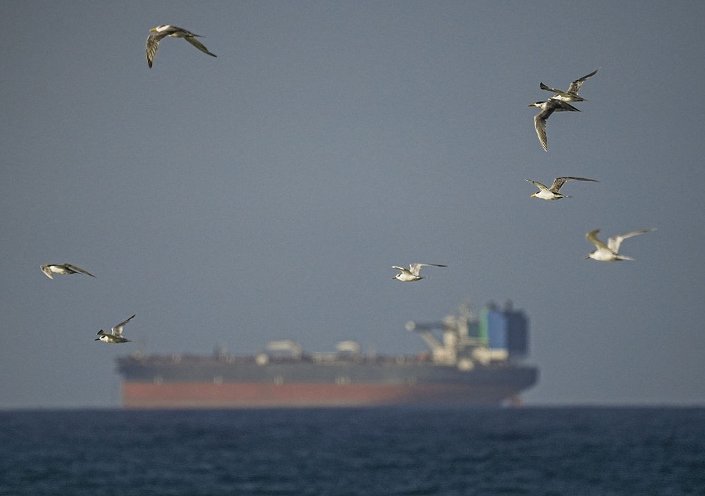 Các tàu chở dầu né eo biển Hormuz trước lệnh phong tỏa của Mỹ - 1