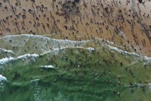 Hàng trăm nghìn người đi chơi biển Vũng Tàu trong hai ngày đầu nghỉ lễ 30/4