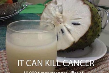 “Mãng cầu xiêm chữa ung thư?”: Chưa có báo cáo thuyết phục 