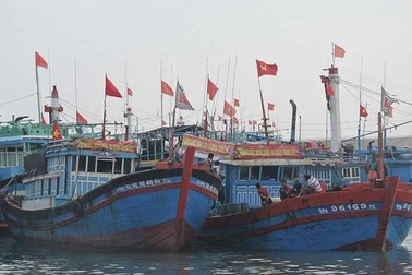 Đầu xuân, ngư dân nô nức mở biển