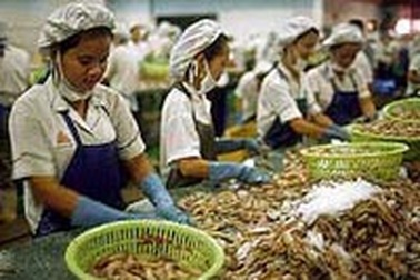 Tôm Việt Nam đắt hàng  