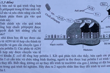 Đề Toán và Sinh vào lớp 10 chuyên Khoa học tự nhiên năm 2022