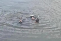 Cứu sống người phụ nữ nhảy sông nghi tự vẫn