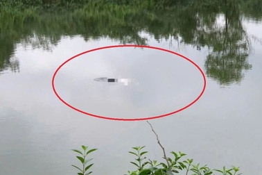 Phát hiện thi thể nữ sinh lớp 11 dưới hồ nuôi tôm