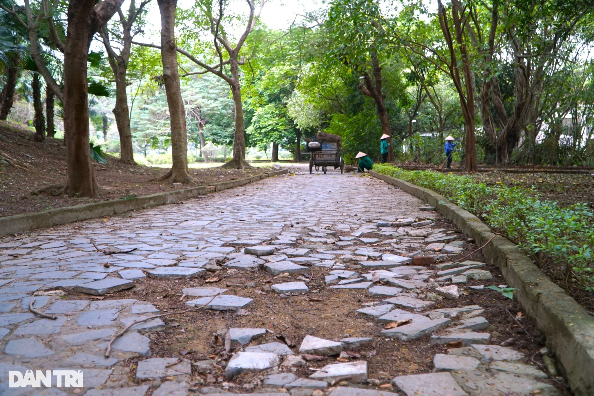 Ngắm công viên Hội An sắp được nâng cấp, cải tạo ở Thanh Hóa - 6