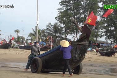 Những mẻ cá "chạy bão" của ngư dân xứ Thanh