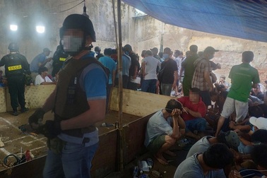 Khởi tố 43 người trong trường gà vừa bị triệt phá bên đại lộ Võ Văn Kiệt