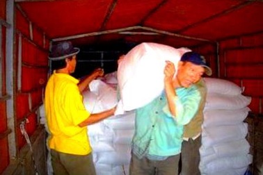 Phân bổ 1.000 tấn gạo cứu đói cho nhân dân vùng lũ