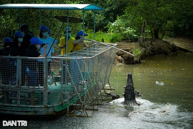 Bác sĩ câu cá sấu, trải nghiệm du lịch sau nhiều tháng chống dịch tại TPHCM