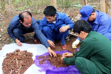 Phát hiện và cất bốc 9 hài cốt liệt sĩ